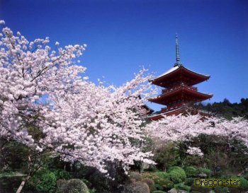 Все ли Вы знаете о Японии? Десятка интересных фактов.